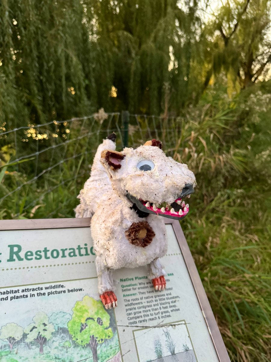 𝕓ritt 𝕔.𝕙. tweet media