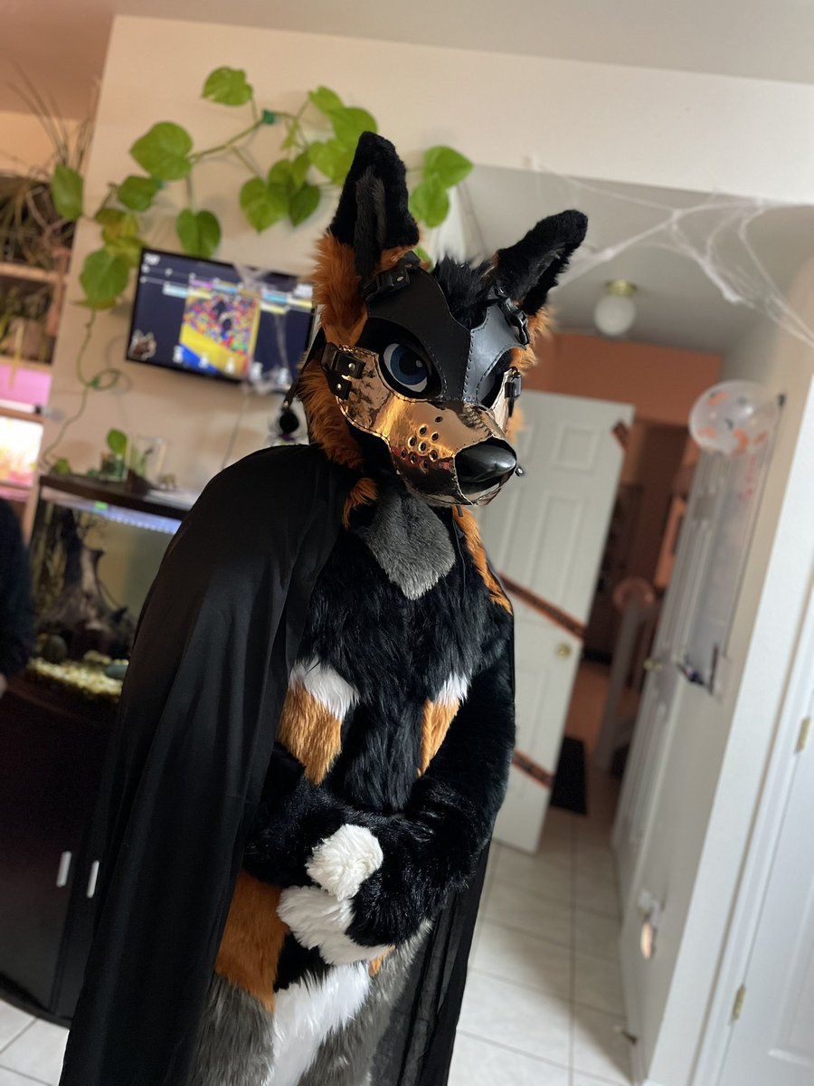 DeckerCrossFox's tweet image. *The Phantom of the Opera theme plays*