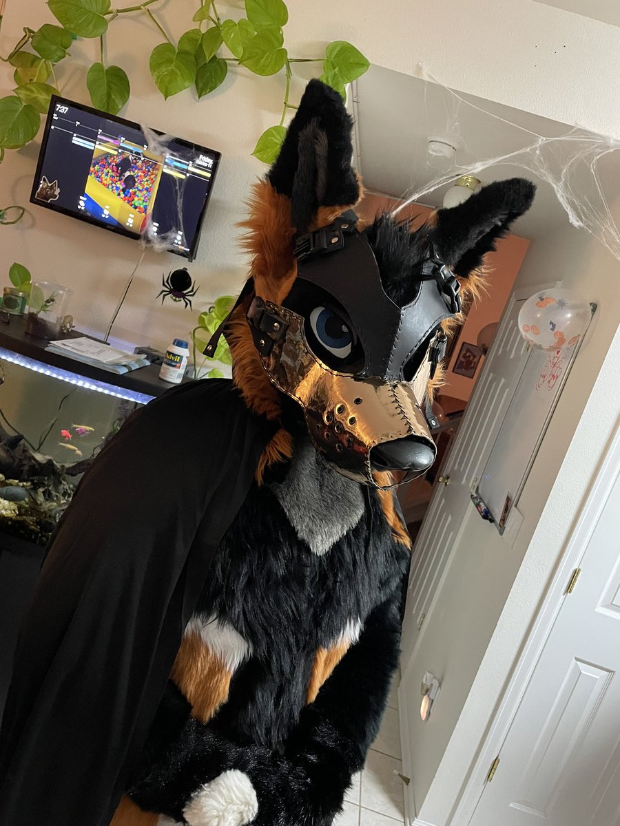 DeckerCrossFox's tweet image. *The Phantom of the Opera theme plays*