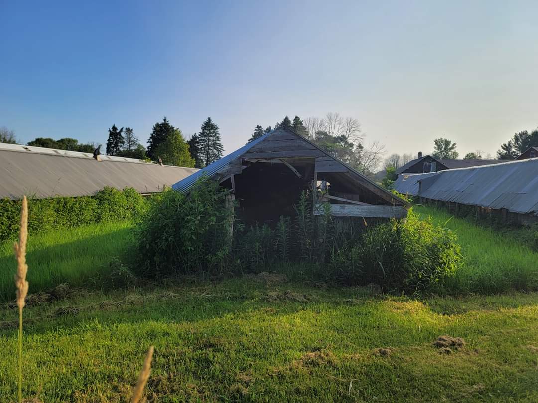 The Smies Fur Farm, in Oostburg, Wisconsin has been reclaimed by nature. 

Another fur farm to shutter in recent years. 

For a map of fur farms visit finalnail.com