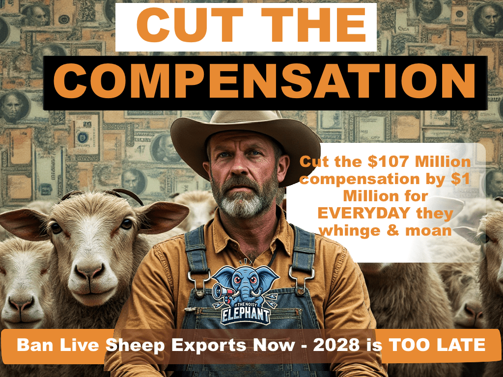 TheNoisyTrunk's tweet image. The Nightly, a Seven West Media (#KerryStokes RAG) did an article headlined with: "Lobsters back on Chinese menu after Anthony Albanese confirms deal to lift trade embargo"

In the comments beneath the article, the first comment is:

"So Albo bans live sheep exports then he has a