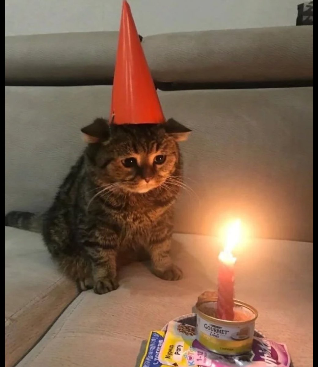 Luzid 𓆩ꨄ︎𓆪 tweet media