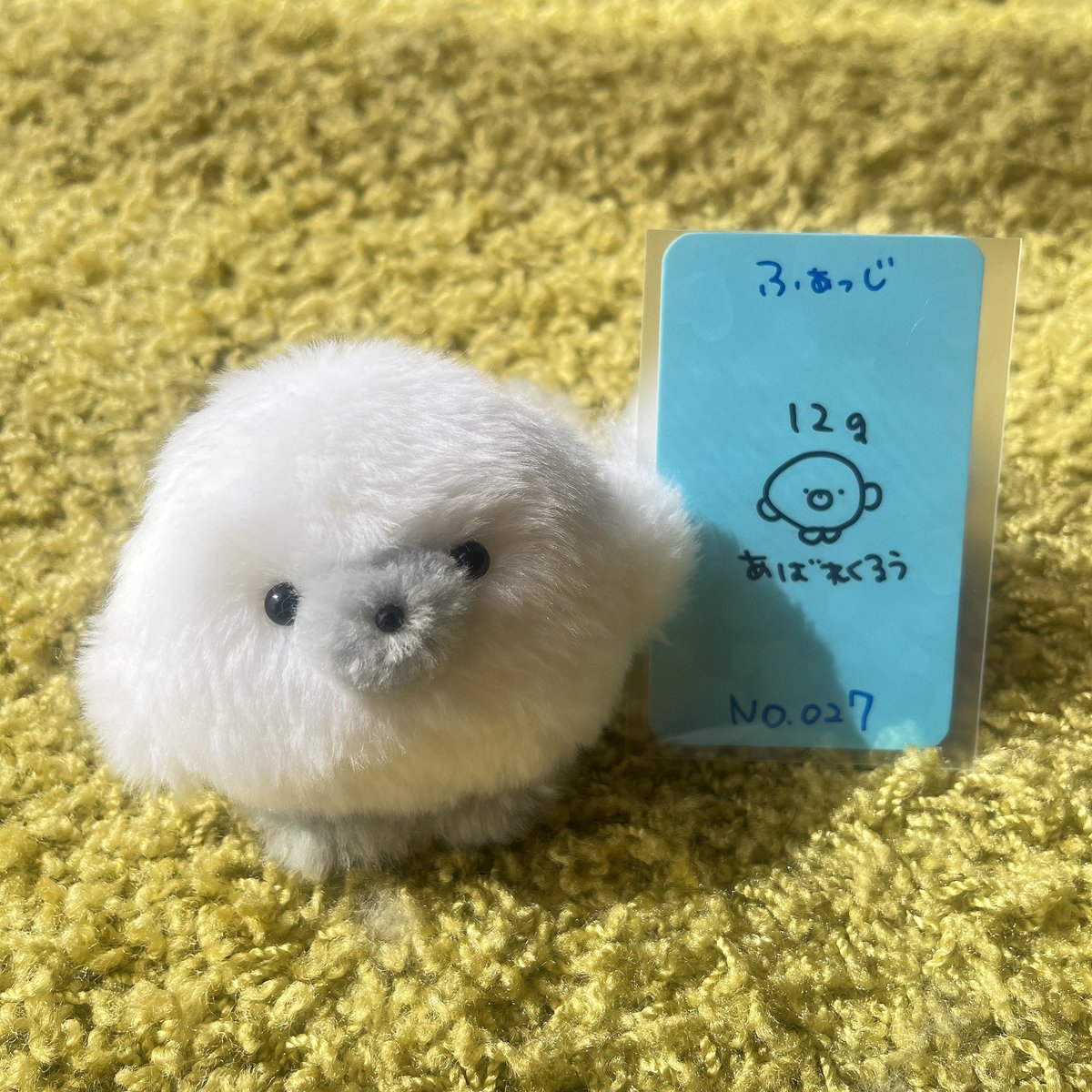 p__q0x0's tweet image. いのち屋様 (  @inochi_ya  )  より𝟭𝟮𝗴のとてもかわいい あばれくるう いのちがやってきました🧺,,,   げんきいっぱいなので たくさんお外に連れていったり わが家のﾇｲちゃんたちと あそぼうと思います✊🏻(˶ ⍤ ˶)🤍  
この度は素敵なご縁を本当にありがとうございましたT ˙̫ T♩