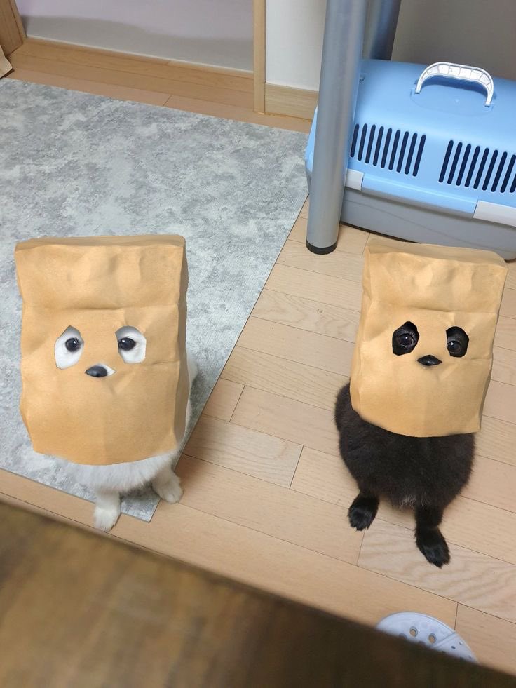 ㅤ