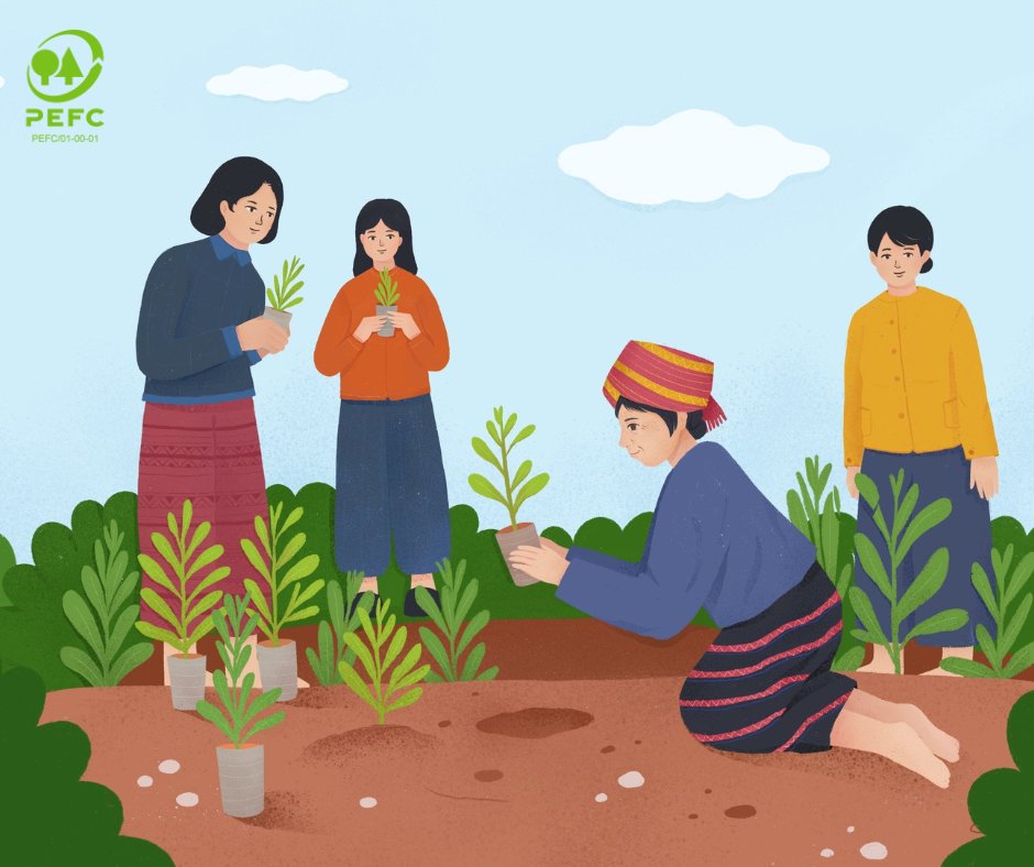 Regionally, large area of plantation forest's managed by smallholders. It may happen that your household's furniture, fuel, clothes and paper are made with their wood fibers.
#PEFC empowers fiber farmers to plant, harvest and produce wood fibers responsibly and sustainably.