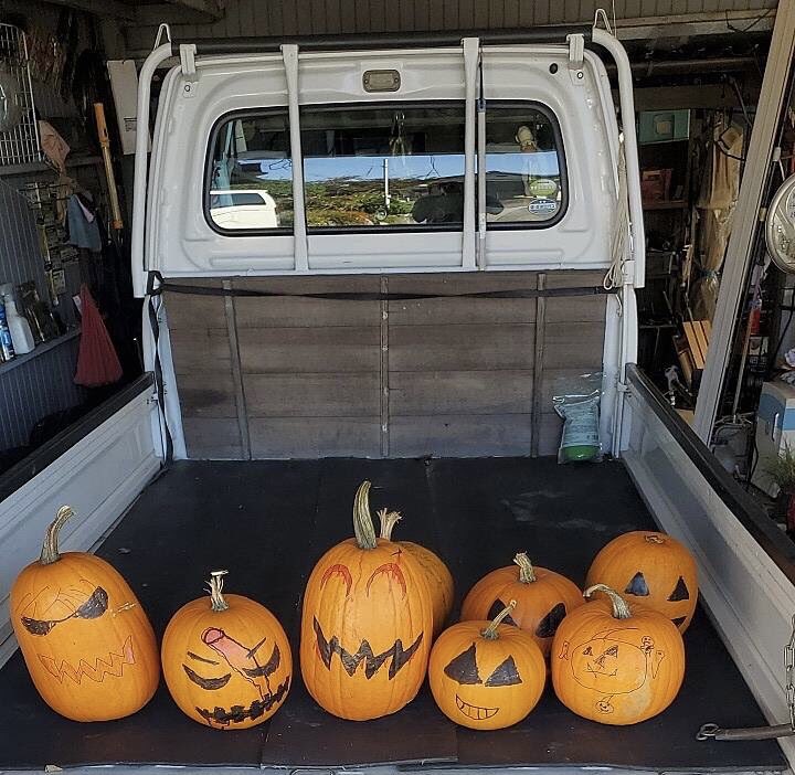 今年もやります。
子供たちに配ったカボチャが集まり始めました🎃

#ハロウィン