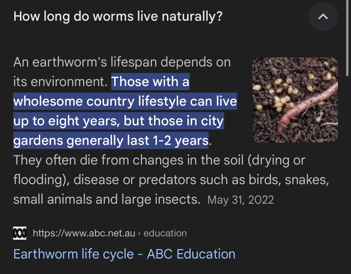 gothmothman's tweet image. who wants to b my worm trad wife … or my worm trad husband … my wormmmmmm
