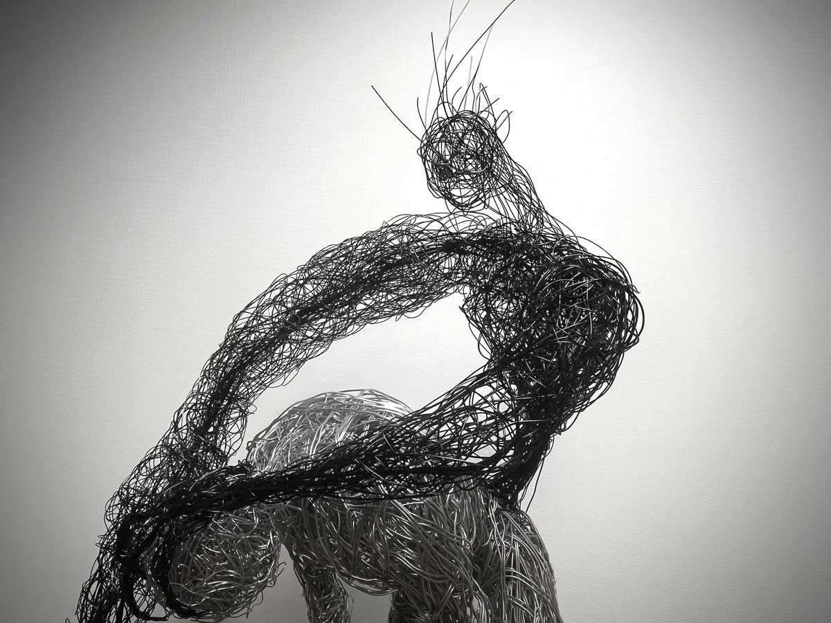 GASYA_SAKURA36's tweet image. 「不屈者」

それは希望か呪いか救済の手は時に悪魔の手となり得るが…
「倒れるくらいなら俺によこせ。もう用はなかろうに。」
なにかが話しかける。

崩れるくらいならもう___

#wire
#wireart
#針金アート
#ワイヤーアート