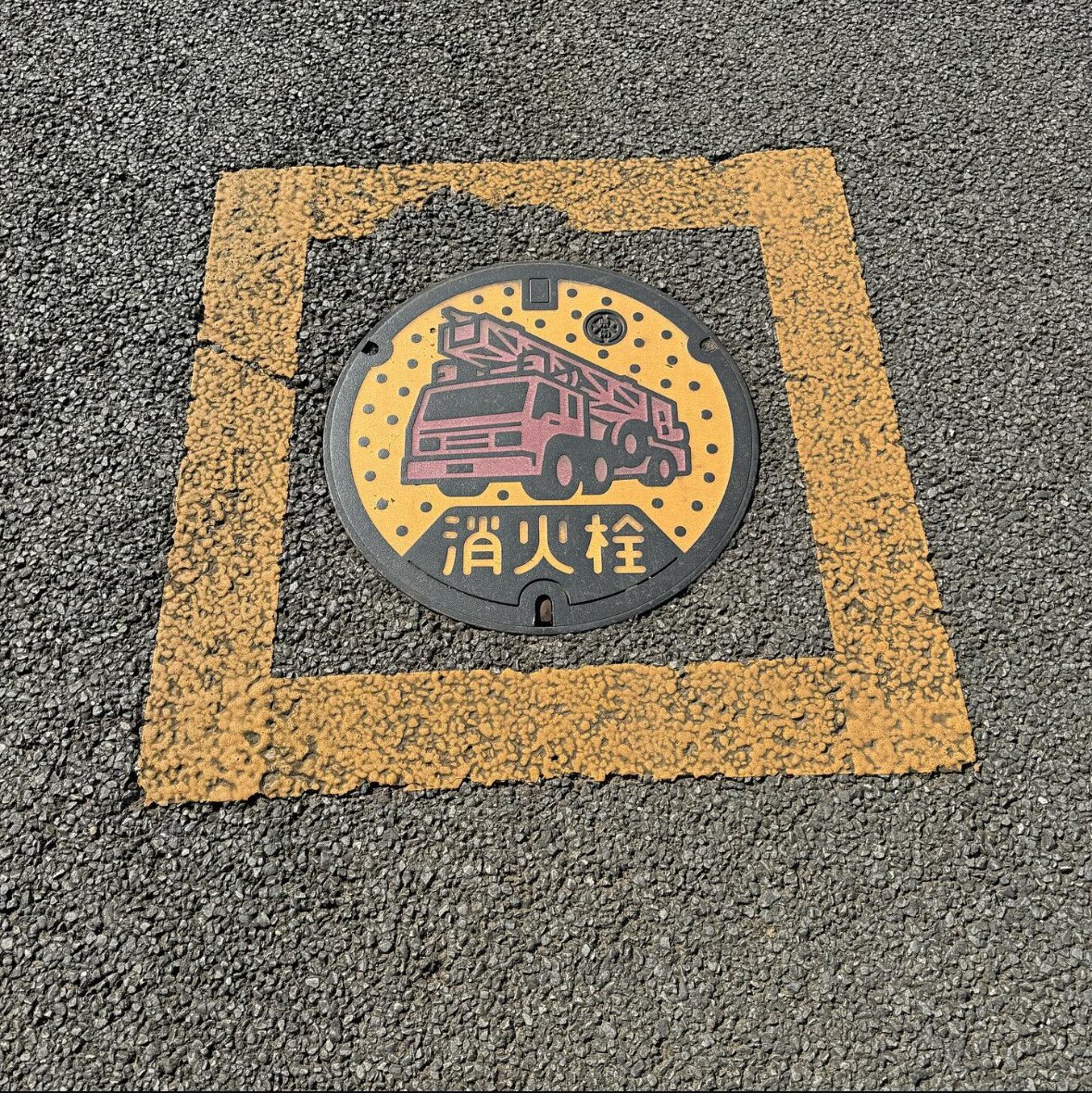 あしか。 tweet media