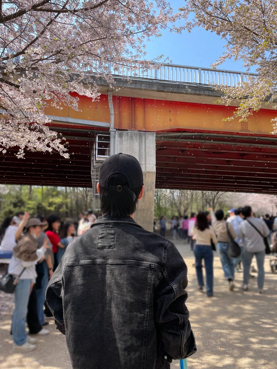 sneughan's tweet photo. Coming back feels like a new chance to start a fresh chapter, and it has me reminiscing about the good old days when I first began. Well, it may not be the season for recent pictures of blossoms, but I believe the flowers are just as beautiful this year. https://t.co/NtI0hPvIwK