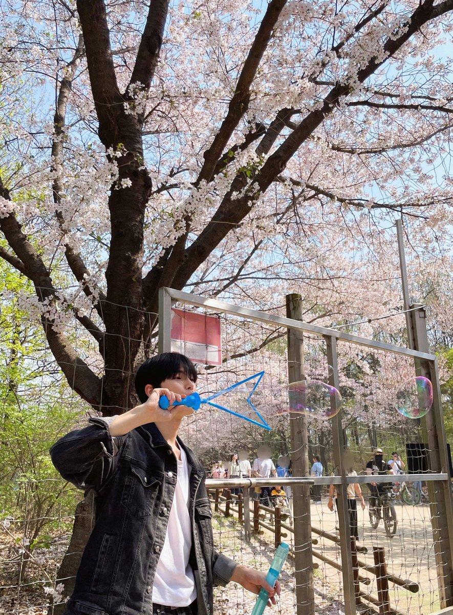 sneughan's tweet photo. Coming back feels like a new chance to start a fresh chapter, and it has me reminiscing about the good old days when I first began. Well, it may not be the season for recent pictures of blossoms, but I believe the flowers are just as beautiful this year. https://t.co/NtI0hPvIwK