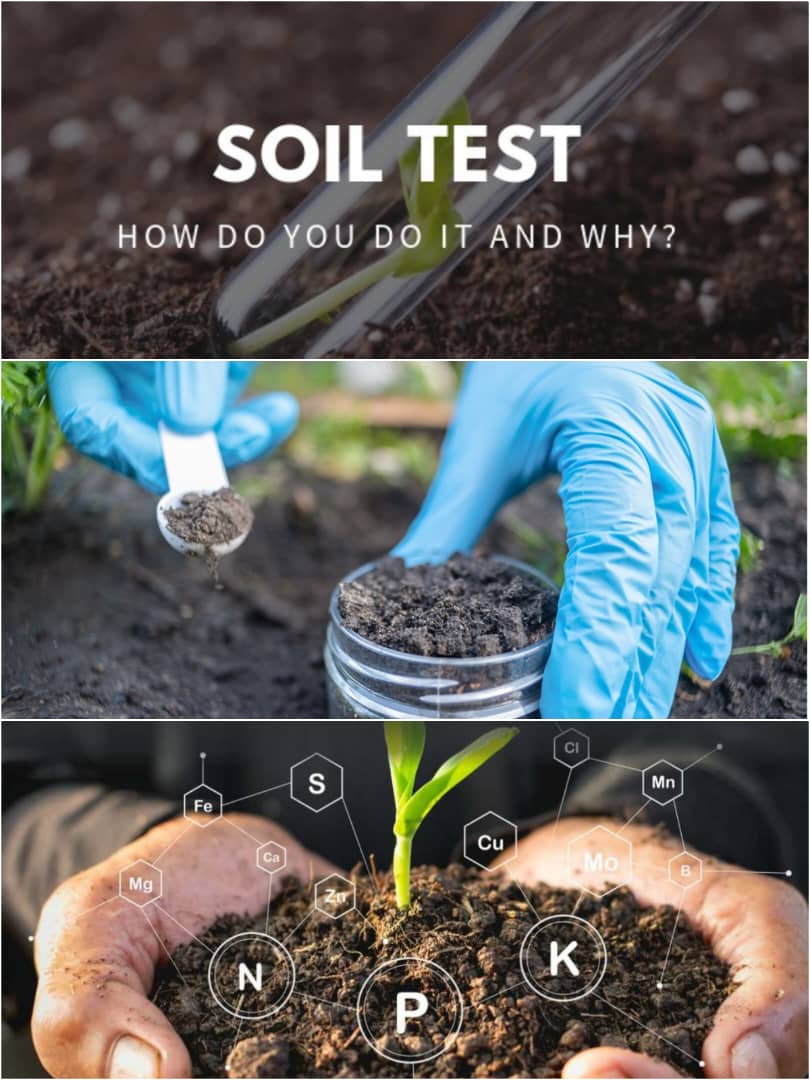 wauvirtuouswome's tweet photo. DIARY OF A FEMALE FARMER: The Power of Soil Testing

Soil testing - the secret to unlocking your farm's full potential!

https://t.co/4yl5O65WRt https://t.co/7PrxH7kAub