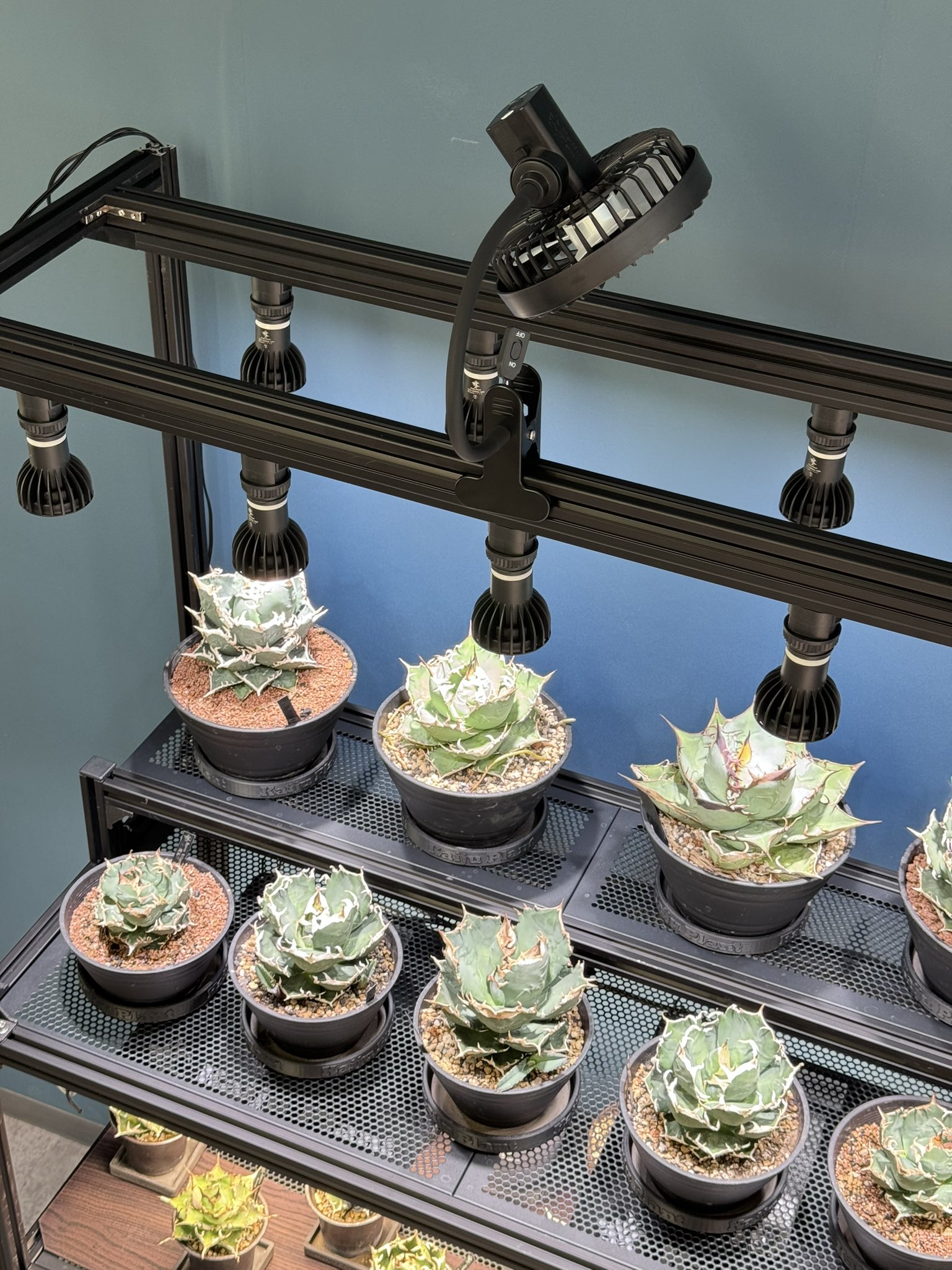 Kaiju Plant 怪獣ファン　2台 Kaiju Plant 怪獣ファン 2台 - メルカリ