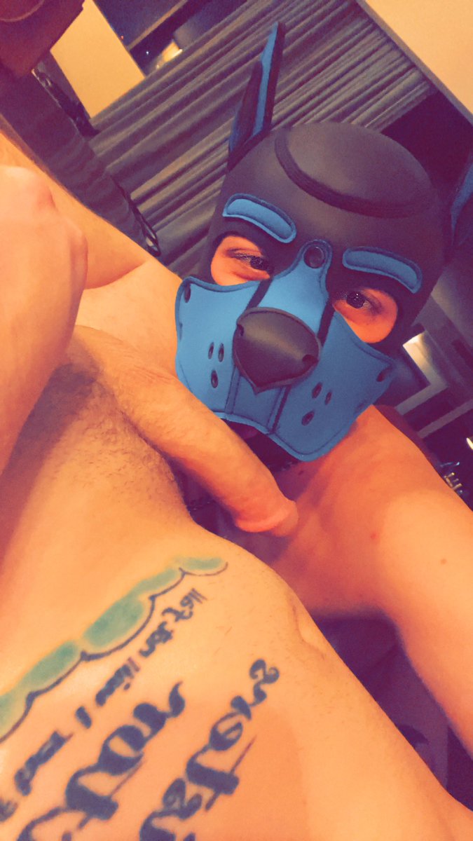 We made it to Atlanta!! If you see us at pride  this weekend come bark at us!

Come see the full video on our OF, 35% off till the end of this month💙💚

Onlyfans.com/puppyknox

<a href="/VanaPup24/">Pup Vana</a> 
<a href="/MrSLeather/">Mr-S-Leather</a> 
#gay #gaybottom #gaytop #twink #Onlyfans #gayporn #puppy #twinks