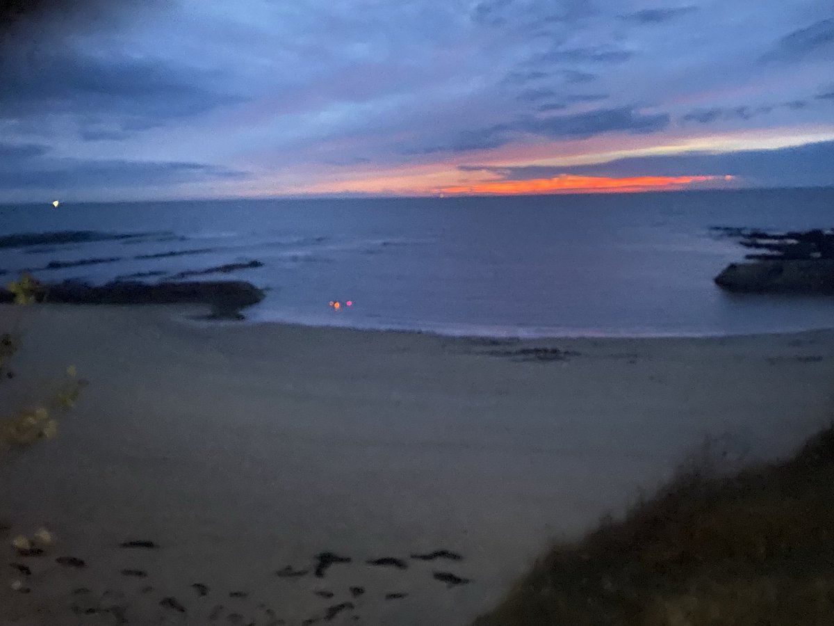 Kevin Maguire tweet media