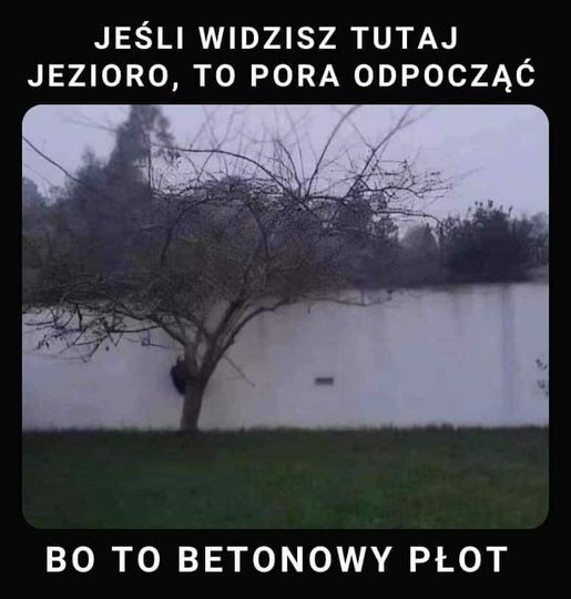 GZqwUk1W8Ag6HD0