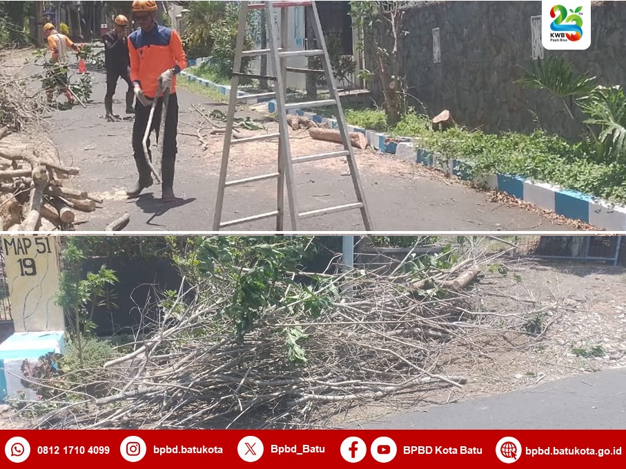 Pohon tumbang di Jalan Imam Bonjol Atas
instagram.com/p/DBA2a0ZTs6w/…