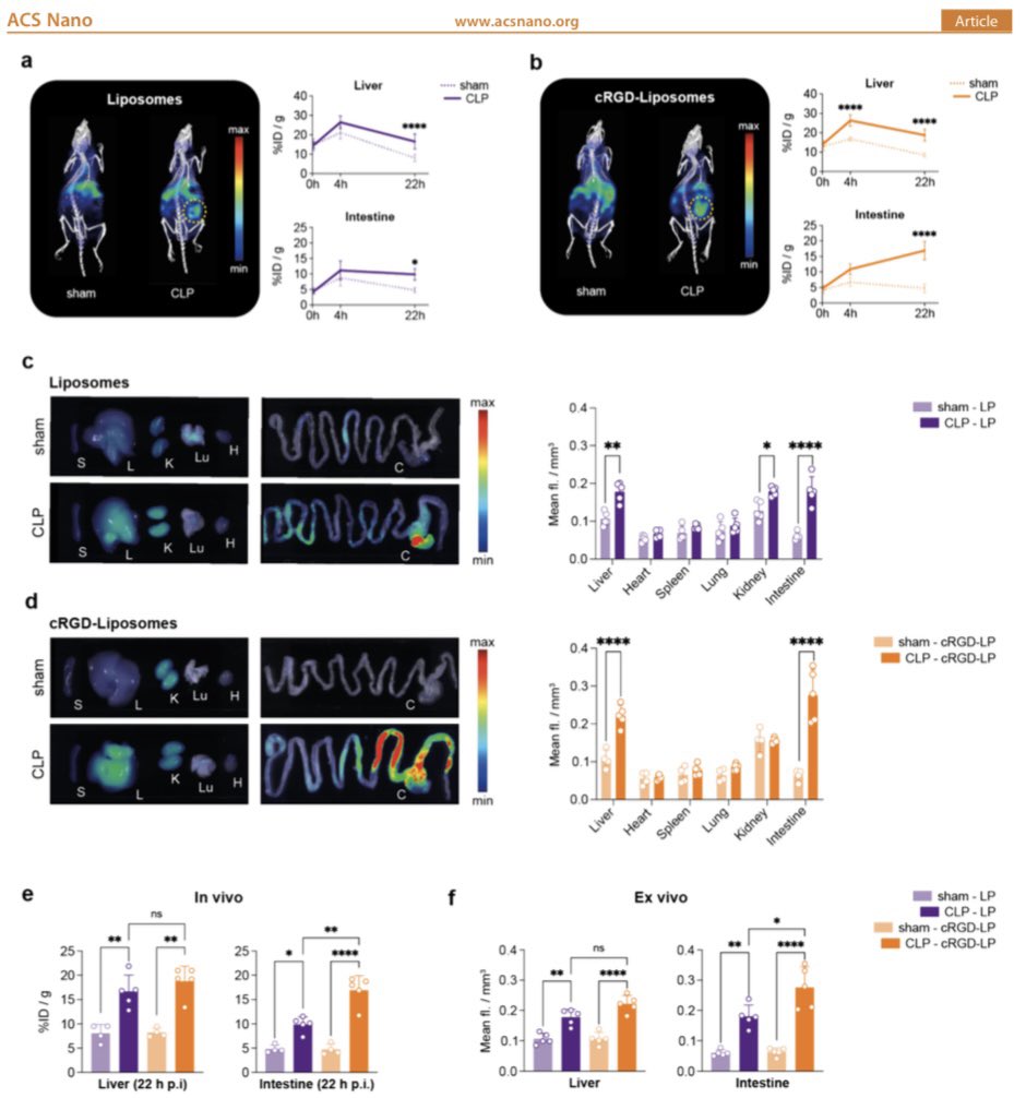 Twan Lammers (@twan_lammers) on Twitter photo Targeting neutrophils in sepsis with RGD-modified liposomal dexamethasone 🦠
Excellent first paper by MD student Ritvik Mathur from <a href="/UniklinikAachen/">Uniklinik RWTH AC</a> <a href="/RWTH/">RWTH Aachen</a>
Work performed within the framework of our <a href="/dfg_public/">DFG public | @dfg_public@wisskomm.social</a> funded doctoral training network #RTG2375
pubs.acs.org/doi/10.1021/ac… Targeting neutrophils in sepsis with RGD-modified liposomal dexamethasone 🦠
Excellent first paper by MD student Ritvik Mathur from <a href="/UniklinikAachen/">Uniklinik RWTH AC</a> <a href="/RWTH/">RWTH Aachen</a>
Work performed within the framework of our <a href="/dfg_public/">DFG public | @dfg_public@wisskomm.social</a> funded doctoral training network #RTG2375
pubs.acs.org/doi/10.1021/ac…