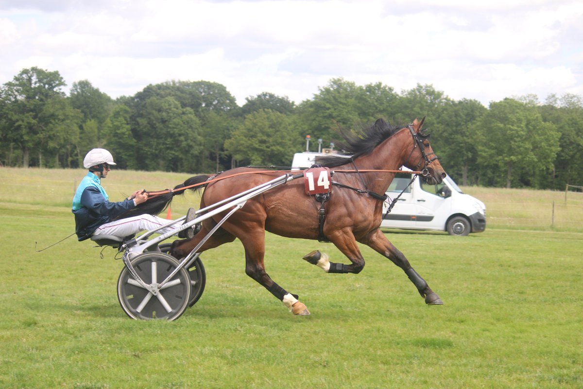 🎯 𝗟𝗘 𝗣𝗔𝗥𝗧𝗔𝗡𝗧 𝗗𝗘 𝗖𝗘 𝗦𝗔𝗠𝗘𝗗𝗜
📍 Caen

🟠 905 Kaïser Griff : Il est en forme cette année. Son dernier échec comporte des excuses.
À l'issue d'un bon parcours, il a les qualités pour être parmi les 5 premiers, même s'il faudra surement qu'il améliore son record !