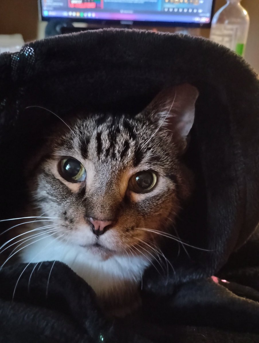 My son jaspurr got, cold the lil baby