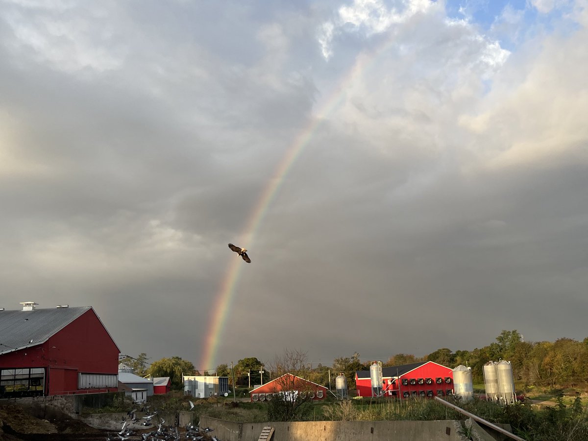 Couldn’t time this picture any better