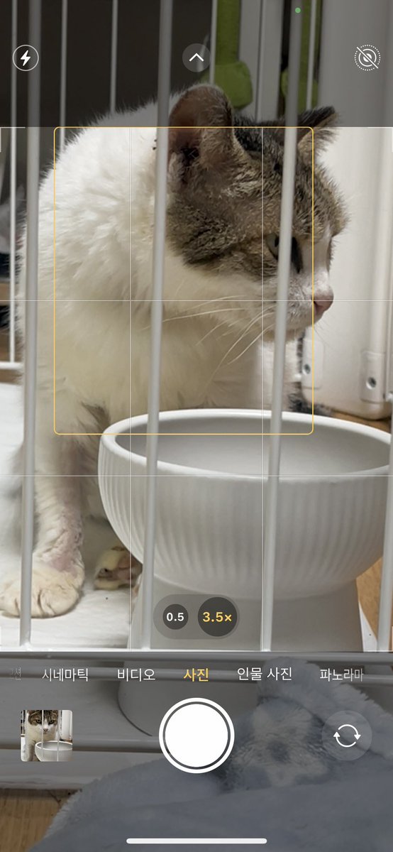 귀 있는 도로를 찍기 위한 3.5배샷