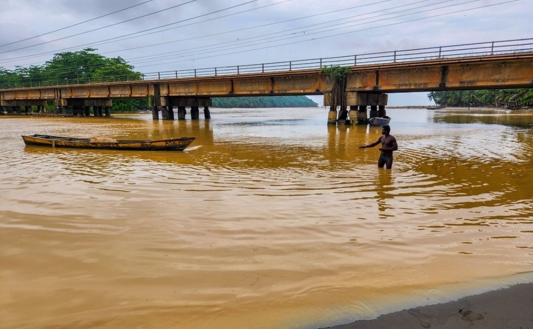 delali adogla-bessa tweet media