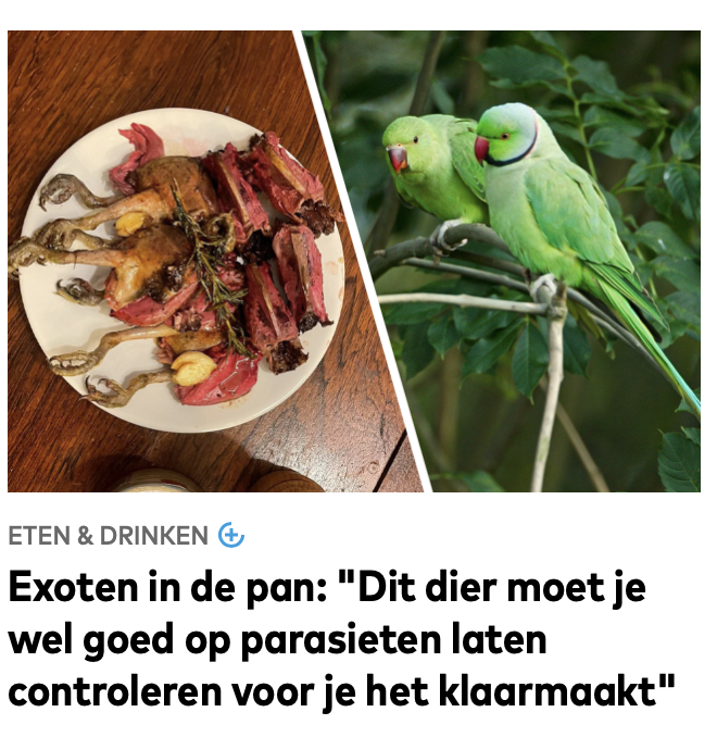 IngridHbn's tweet photo. Volgens mij is de redactie van HBvL nu helemaal van 't padje af. Ze kunnen de laatste tijd niet genoeg extra dieren vinden om de exploitatie ervan te promoten in hun gazet. De grote vraag: waarom?
#hbvl #journalistiek https://t.co/xbJ4hRQl1n