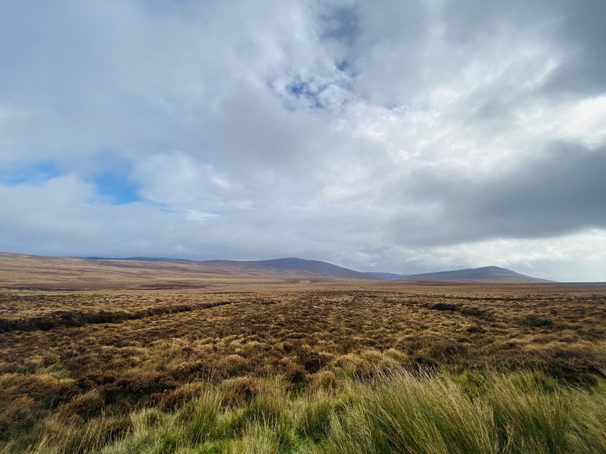 Out and about the #Wicklow Mountains National Park this morning for <a href="/Team_eBird/">eBird</a> #OctoberBigDay.

Highlights included Long-eared Owl, Goosander, Red Kite, Great Spotted Woodpecker, Crossbill, Red Grouse and a hearty breakfast at <a href="/RobGandola/">Rob Gandola</a>’s house!