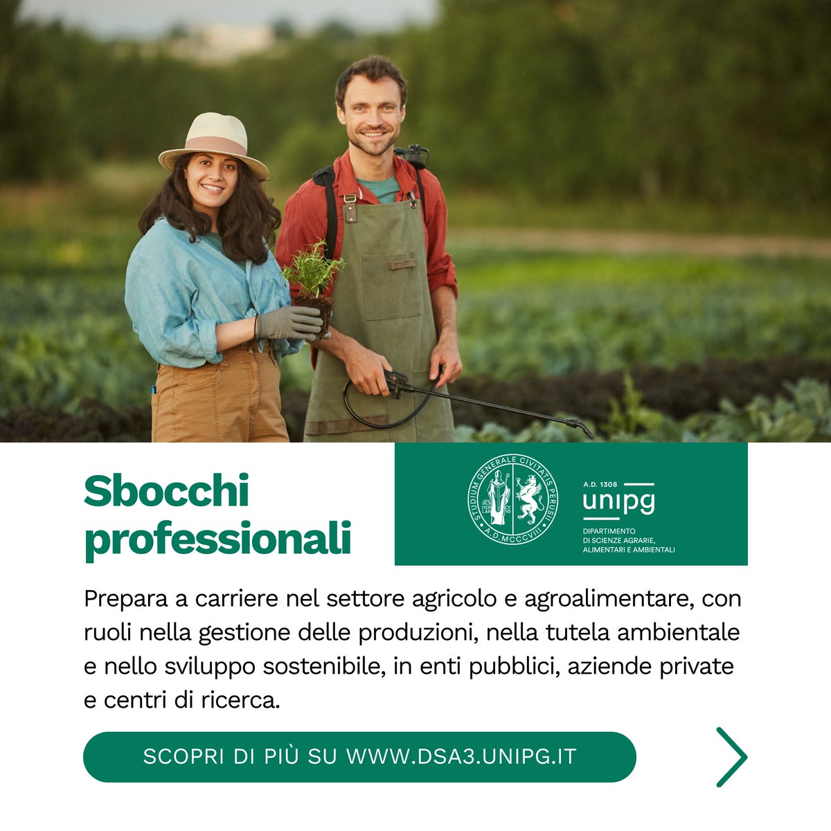 Vuoi contribuire a un'agricoltura sostenibile?
Con Scienze Agrarie e Ambientali diventi un professionista capace di gestire i sistemi produttivi agricoli, promuovendo innovazione e sostenibilità. Costruisci il futuro della terra e dell'ambiente!
#LaureaTriennale #ScienzeAgrarie