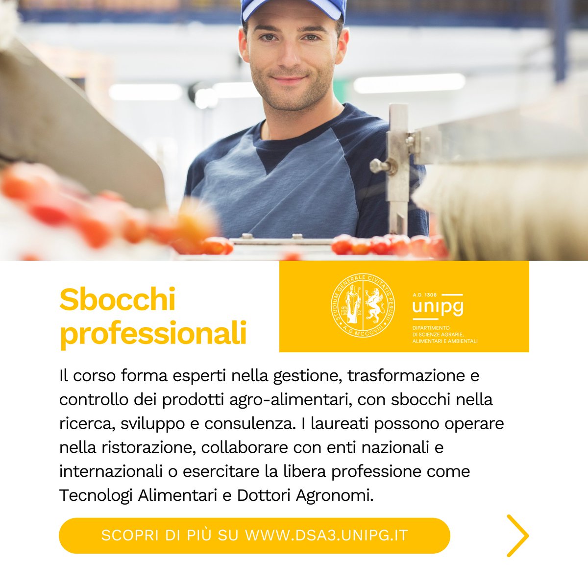 Hai passione per l'innovazione alimentare? Con la Laurea Magistrale in Tecnologie e Biotecnologie degli Alimenti, potrai diventare un esperto nella qualità, sicurezza e sviluppo di nuovi prodotti alimentari. Fai il prossimo passo!