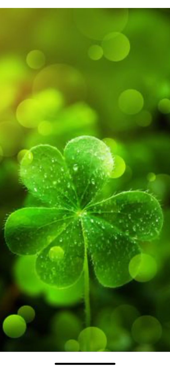 ☪弓月（ゆづき）☪ tweet media