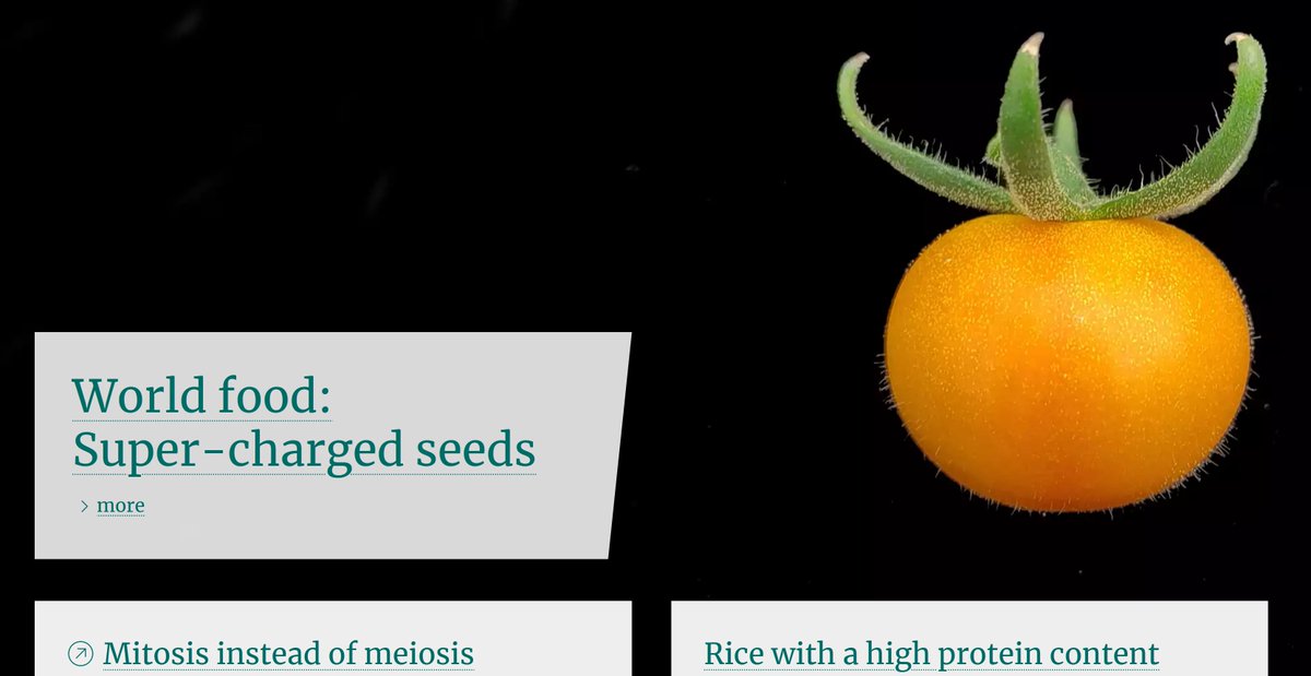 raphael mercier (@raph_mercier) on Twitter photo MiMe-based-Super-Hybrid-Tomatoes on the Max Planck Society homepage
mpg.de/en
<a href="/YazhongXigua/">Yazhong Wang</a> <a href="/charliesousbois/">Charlie Underwood</a> MiMe-based-Super-Hybrid-Tomatoes on the Max Planck Society homepage
mpg.de/en
<a href="/YazhongXigua/">Yazhong Wang</a> <a href="/charliesousbois/">Charlie Underwood</a>