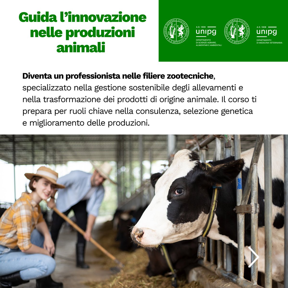 DSA3Perugia's tweet photo. Vuoi lavorare con gli animali e contribuire a una filiera sostenibile? Con il corso di laurea in Produzioni Animali diventerai un esperto nella gestione di allevamenti, benessere animale e tecnologie alimentari. Trasforma la tua passione in carriera! 📷 https://t.co/w4Uky5qlpT
