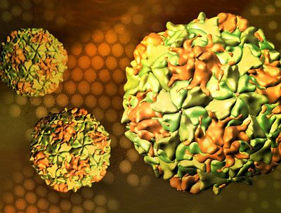 SCPed's tweet photo. 🦠Actualització sobre la presència de poliovirus en aigües residuals a l’àrea metropolitana de Barcelona, via @salutcat  #ASPCAT https://t.co/R6w9JTbU5r https://t.co/PjBtJ6MjoM