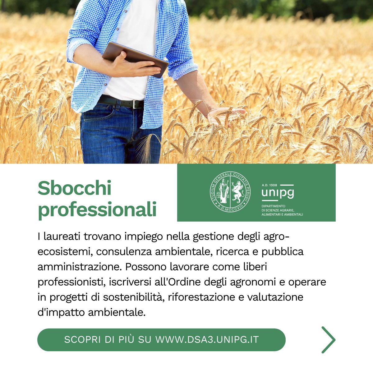 Vuoi essere protagonista del futuro dell'agricoltura? Con la Laurea Magistrale in Agricoltura Sostenibile potrai sviluppare le competenze per gestire risorse naturali, innovare le tecniche di produzione e contribuire a un'agricoltura più rispettosa dell'ambiente.