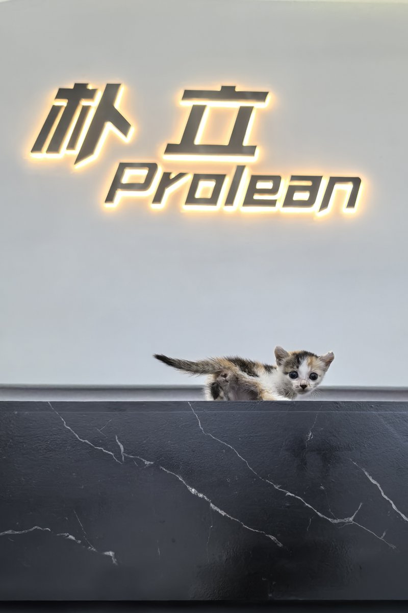 ProleanHUB's tweet image. Happy Friday! 🎉 Wangcai, our cherished foster pet, has found his forever home in Hunan! 🏡 Here’s a throwback to his last day at our office. We also have two new furry friends joining our crew. 🐾
#AdoptDontShop #HappyWeekend #Proleantech