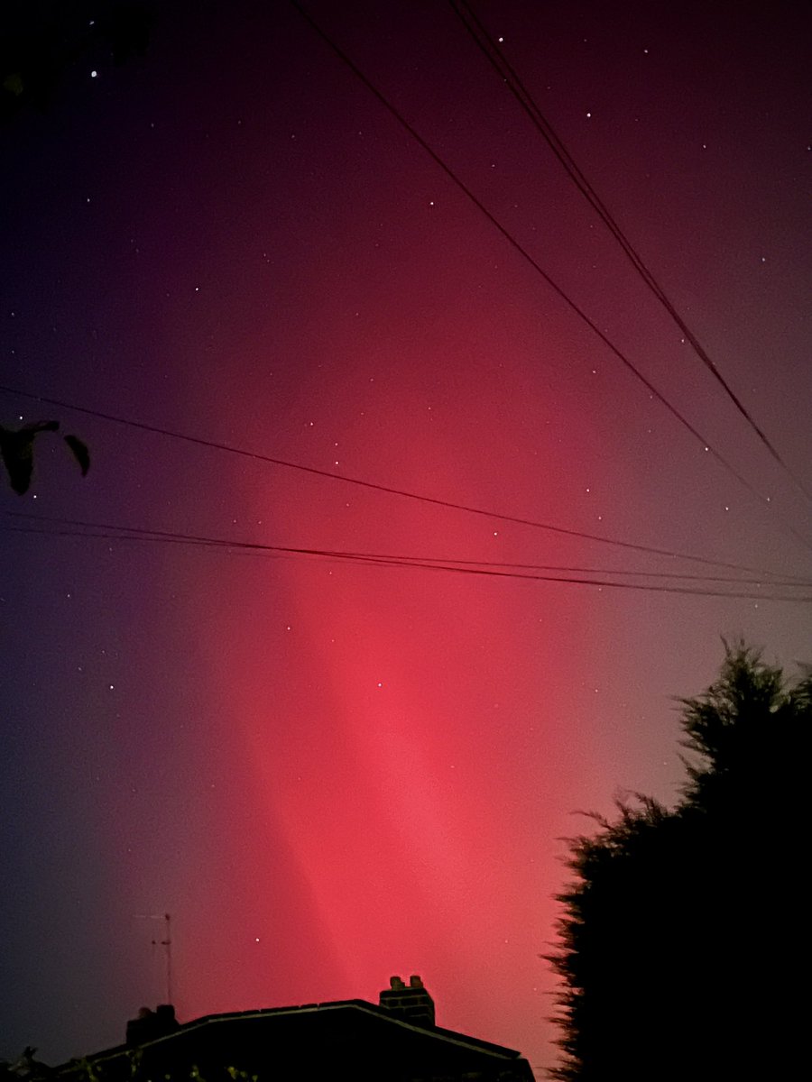 Northern lights outside my house the other night. And I could see them with my eyes (not just through my phone screen)