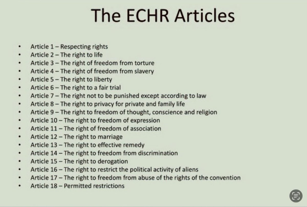 Laidbackchaps's tweet photo. @reformparty_uk @LeeHurstComic Obviously you have no issues with your own rights being taken away. Turkeys voting for Christmas comes to mind. https://t.co/nmFqhWaYO4