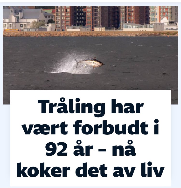 Forbudet mot bunntråling har reddet Øresund. Om regjeringen tør å lytte til marinbiologene framfor fiskeriorganisasjonene, kan nå #Oslofjorden få samme behandling, og livet tilbake nrk.no/stor-oslo/xl/h…