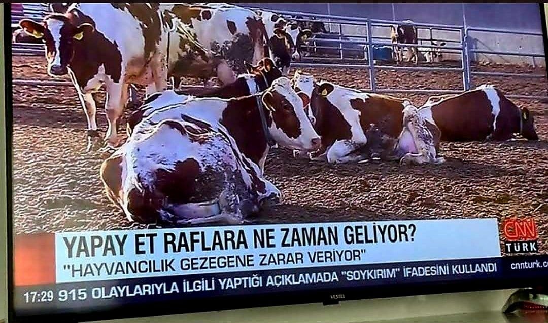 #YapayEt'e geçiş için büyük et satıcılarına darbe yapıyor olabilirler devlet eliyle. Çünkü küreselciler tarafından devlete yapay ete hızlı geçiş yapın emri verildi. Köfteci Yusuf buna kurban ediliyor olabilir. Dikkatli olmak lazım.