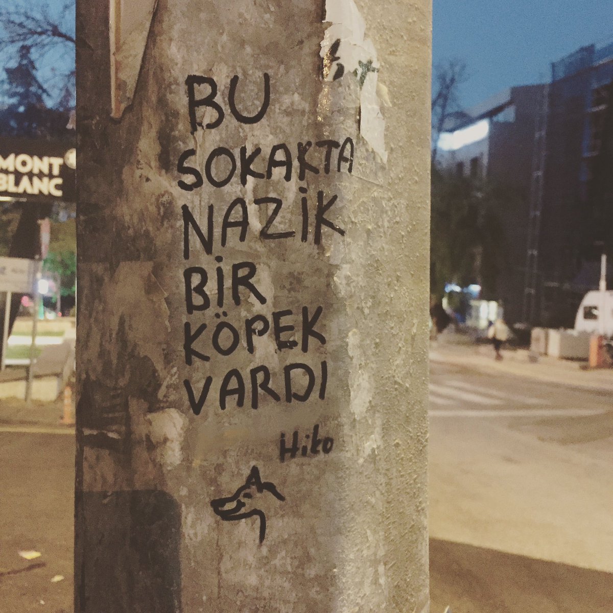 Gülerdi, herkese yol boyunca eşlik ederdi, kabarık tüylü çirkin bir köpekti. Nazik kalpli olduğu için sevileceğini sandı. Bir poşette çöpe attılar.