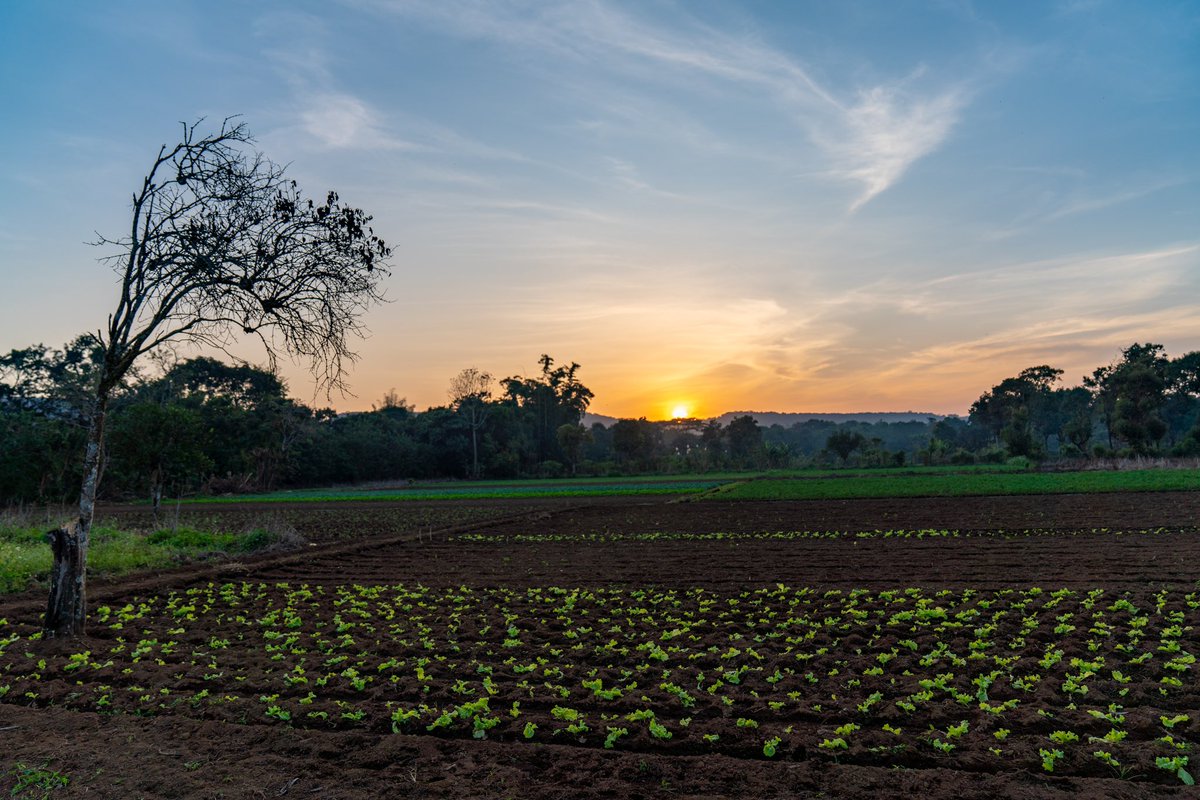 Office National du Tourisme de Guinée tweet media