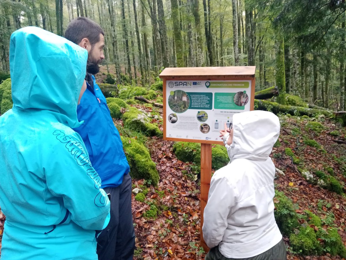 Recently we visited our colleagues from #LifeSPAN project in Italy. Great opportunity to share techniques for creating and conserving #habitats and #biodiversity in different areas.
#saproxylicinsects
#nature #conservation #Together4Nature 
#LIFEROsalia #LIFENature #LIFEProgramme