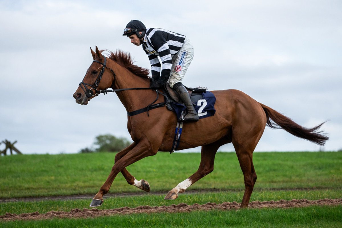 Hopefully plenty of people will be cheering these colours home this afternoon. 

There’s still time to become an owner in Forever William. Shares are £899 all in, or can be paid by monthly instalments.

Email spectreracingsyndicate@gmail.com