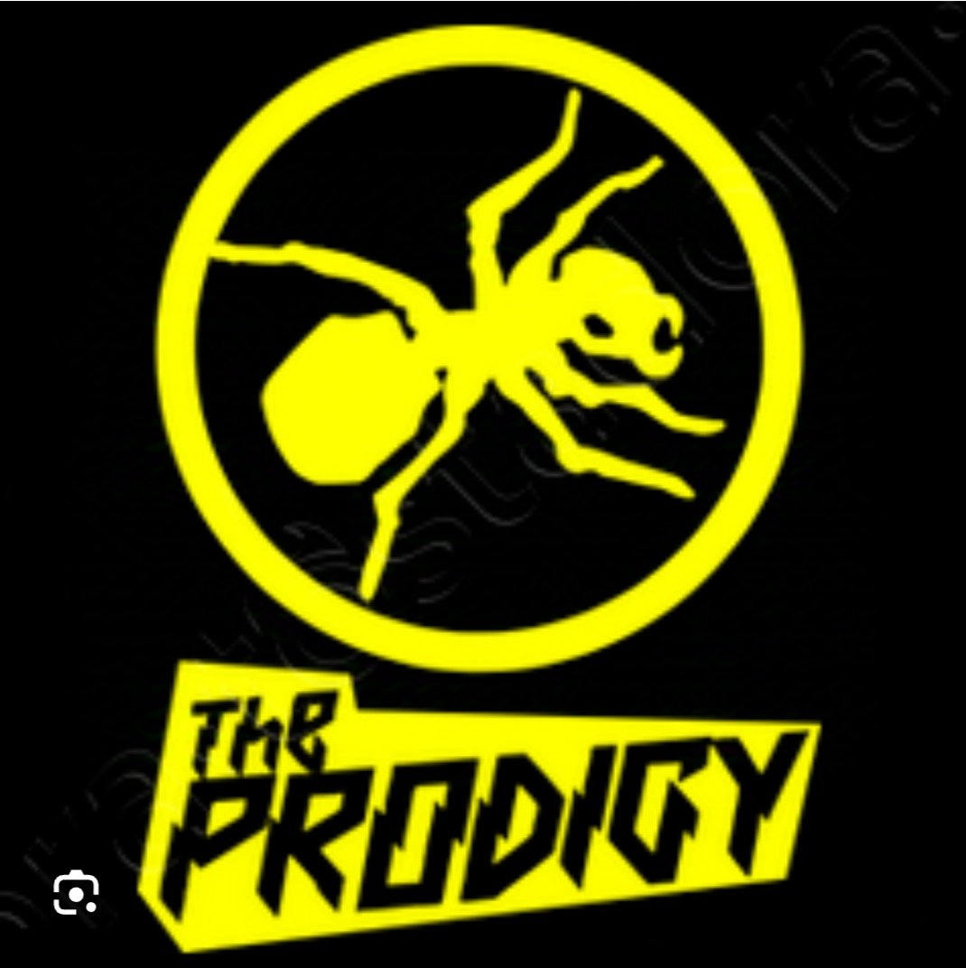 una versió de The Prodigy ?
compreu a Prodigy com a punk?