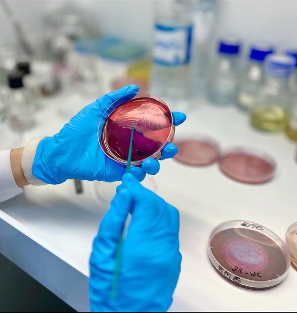 نادي الأحياء | BIOLOGY CLUB (@bioclub_iau) on Twitter photo 