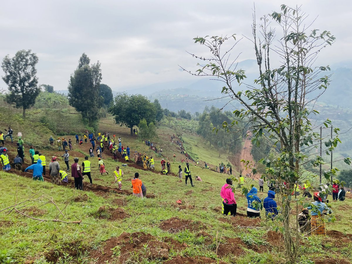 Mu tugari twose two muri <a href="/GakenkeDistrict/">Gakenke District</a> urubyiruko rwazindukiye mu muganda wihariye Q2. Ku rwego rw’akarere, uyu muganda uri kubera mu murenge wa MUHONDO, ahari gucukurwa imirwanyasuri n’ibyobo bifata amazi.
<a href="/RwandaYouth/">Rwanda Youth Council</a> <a href="/RwandaYouthArts/">Ministry of Youth and Arts | Rwanda</a> <a href="/NgaboBrave/">Ngabo Brave Olivier, DMS</a> <a href="/muka_vestine/">Vestine Mukandayisenga</a>