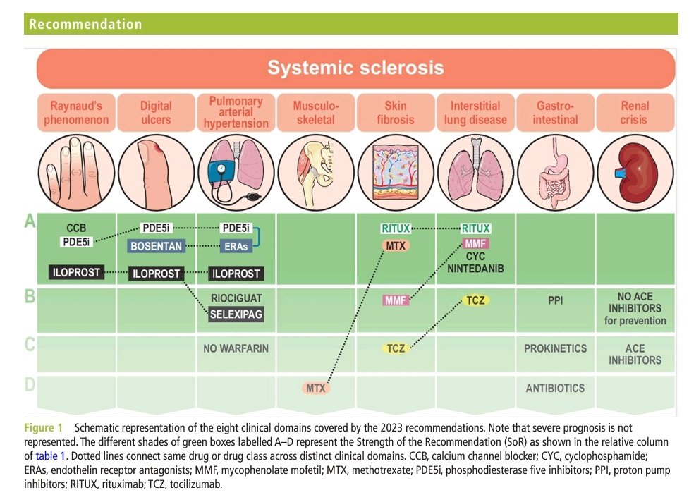 Autoinmunes Medicina Interna Parc Taulí tweet media