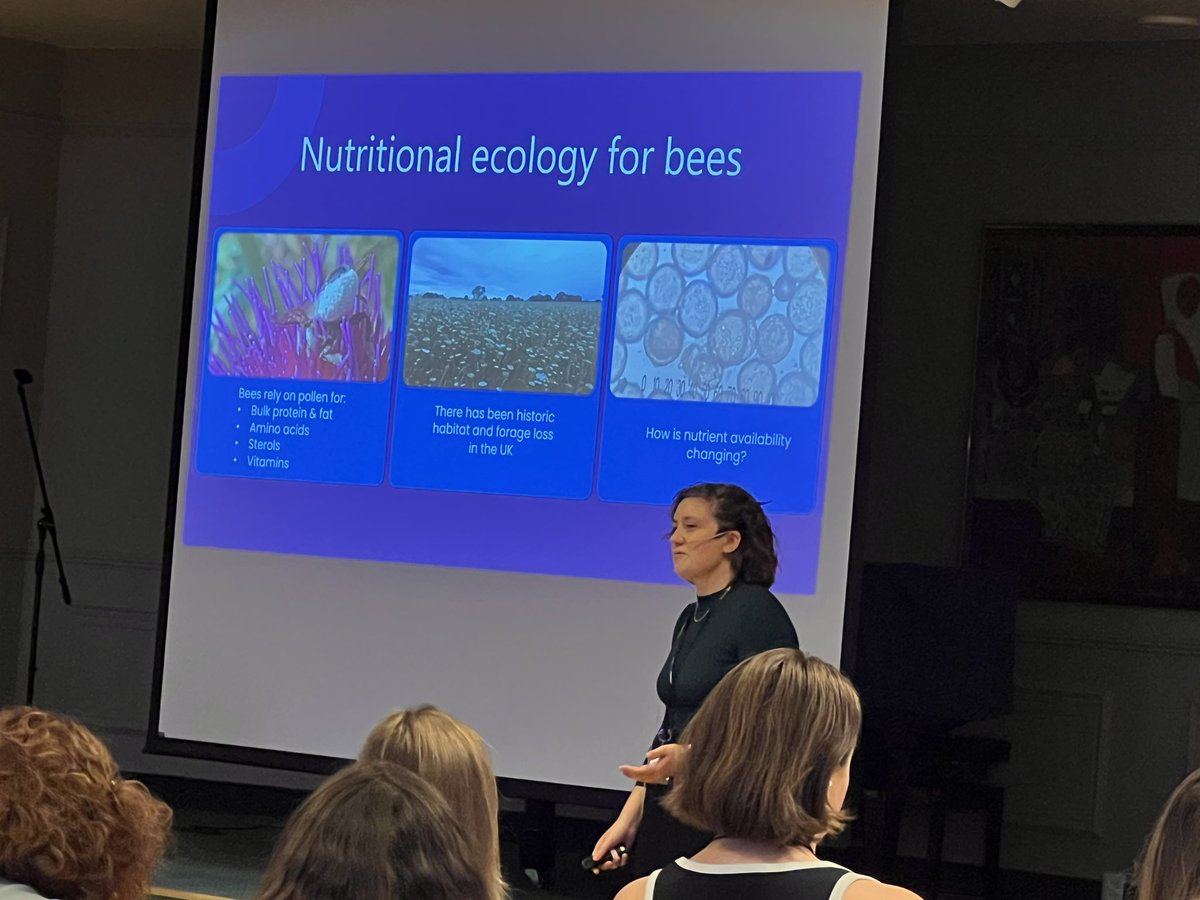 Phil Stevenson (@chickpeaman) on Twitter photo Great talk by <a href="/EllenCBaker/">Ellen Baker</a> at #SCAPE2024 on sterols in UK plants & UK wild bees reporting work from her PhD & our <a href="/NERCscience/">Natural Environment Research Council</a> project in the UK nutritional landscape. @KewScience <a href="/UniofOxford/">University of Oxford</a> Great talk by <a href="/EllenCBaker/">Ellen Baker</a> at #SCAPE2024 on sterols in UK plants & UK wild bees reporting work from her PhD & our <a href="/NERCscience/">Natural Environment Research Council</a> project in the UK nutritional landscape. @KewScience <a href="/UniofOxford/">University of Oxford</a>